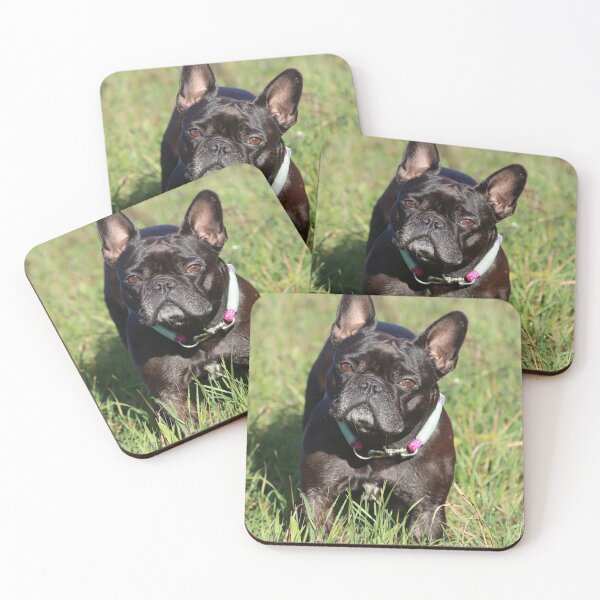 Item preview, Full Grown Black French Bulldog designed and sold by VanGaldo.