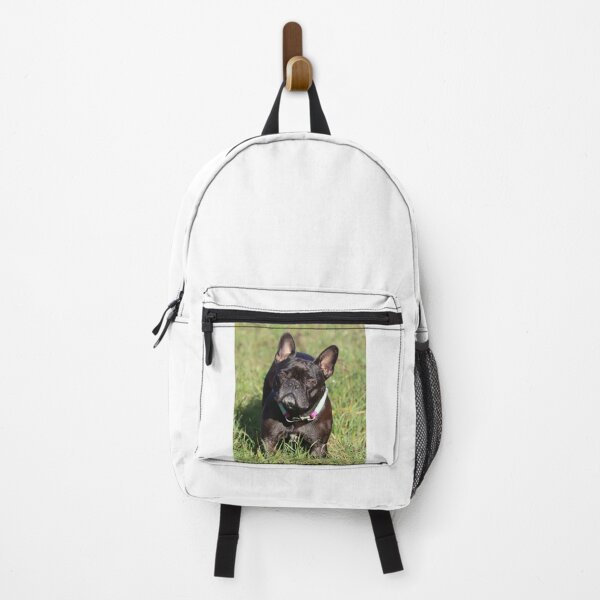 Item preview, Full Grown Black French Bulldog designed and sold by VanGaldo.