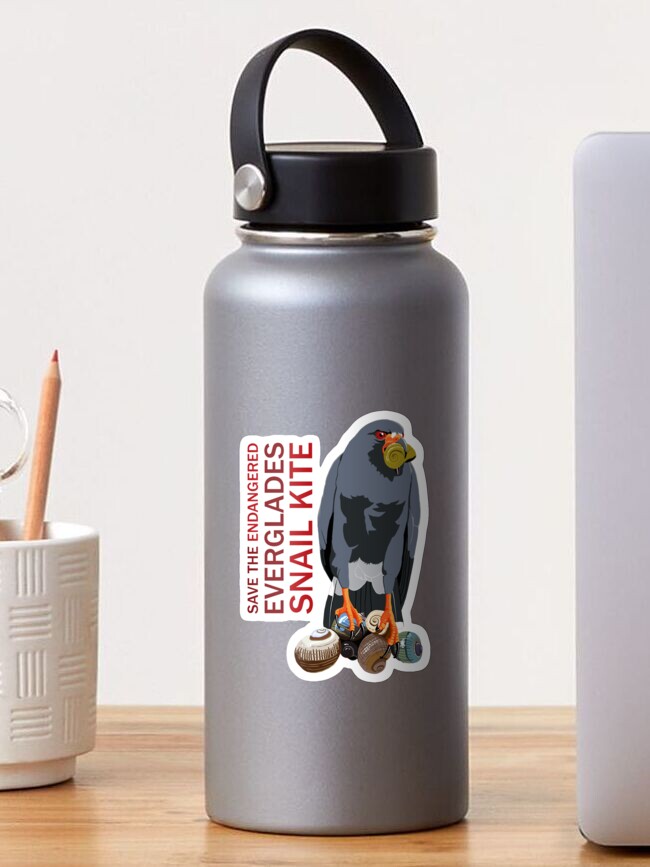 Thumbnail 1 of 3, Sticker, Save the Endangered Snail Kite (support the South Florida National Parks Trust) designed and sold by BennuBirdy.