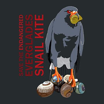 Artwork thumbnail, Save the Endangered Snail Kite (support the South Florida National Parks Trust) by BennuBirdy