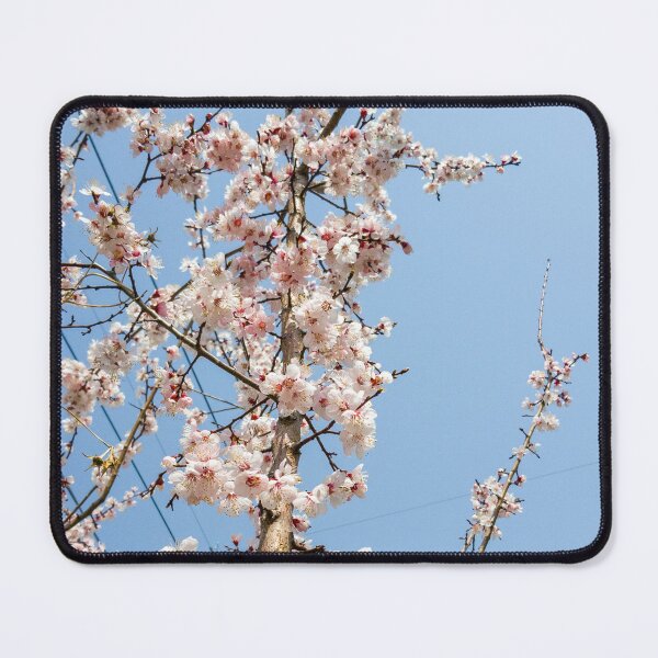 Item preview, blue sky and cherry blossoms designed and sold by yunee.