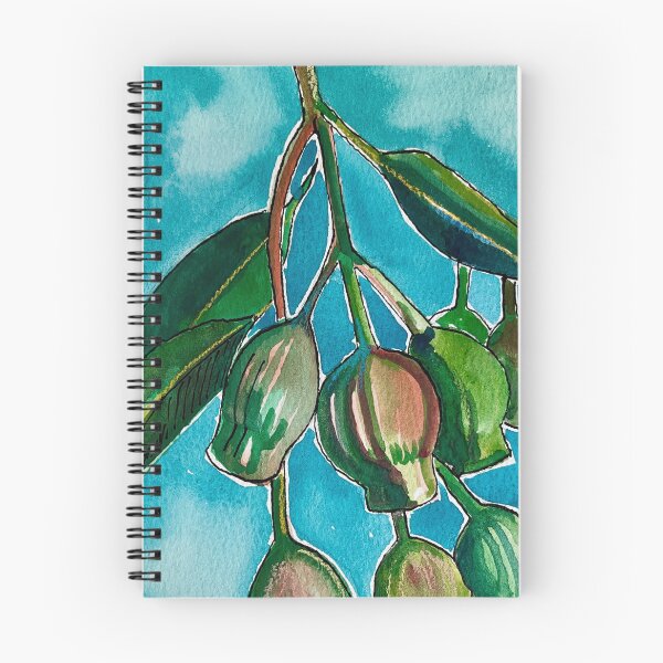 Item preview, Gumnuts with bluebackground designed and sold by rpfeifferactiv8.