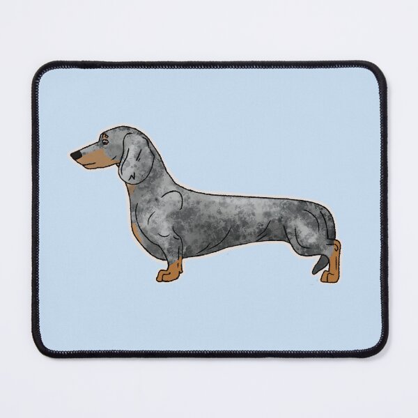 Item preview, Blue Dapple Short Coated Dachshund designed and sold by harmopiavu.