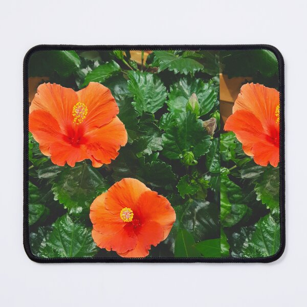 Item preview, Your Orange Hibiscus Flower designed and sold by EmmaLilStudio.