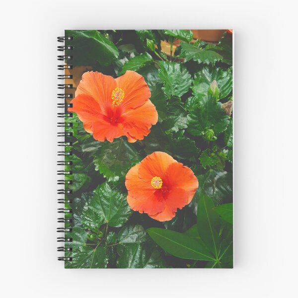 Artikelvorschau, Ihre orangefarbene Hibiskusblüte entworfen und verkauft von EmmaLilStudio.