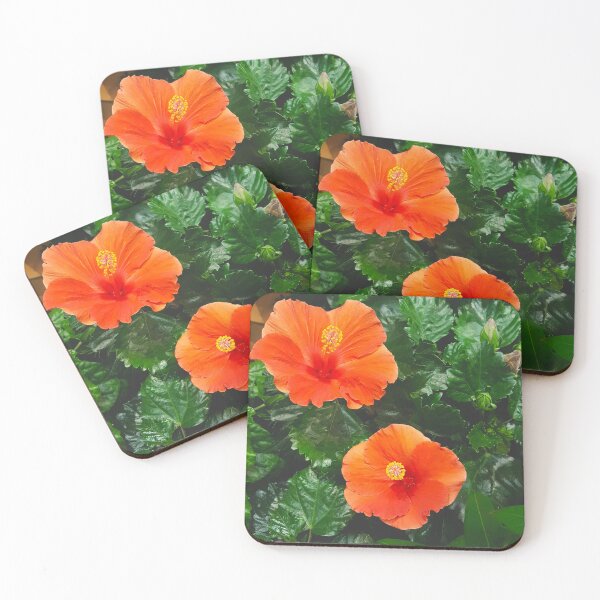 Item preview, Your Orange Hibiscus Flower designed and sold by EmmaLilStudio.