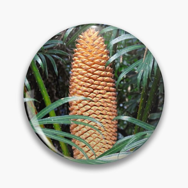Item preview, The Palm Cone designed and sold by AussieAl.