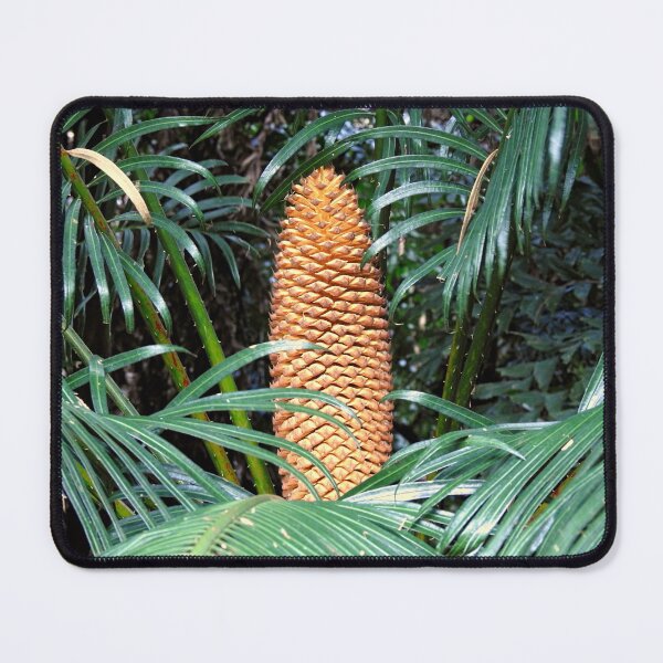 Item preview, The Palm Cone designed and sold by AussieAl.