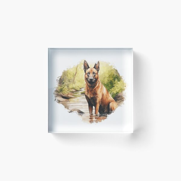 Item preview, Belgian Malinois In The Woods designed and sold by TheAnimalZ00.