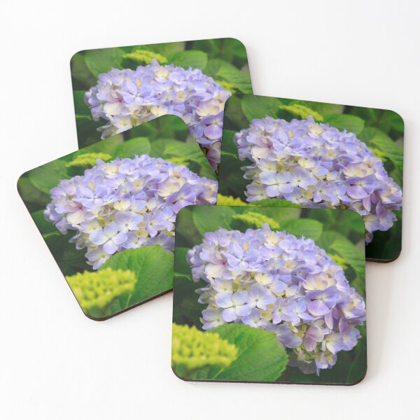 Item preview, Hydrangea blooming designed and sold by Gaspar Avila.