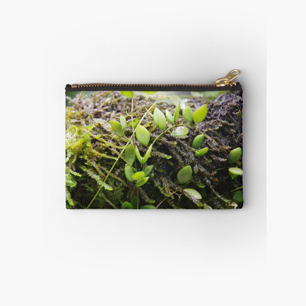 Item preview, Epiphytic Dischidia Growing on a Mossy Branch designed and sold by The Botanical Jason.