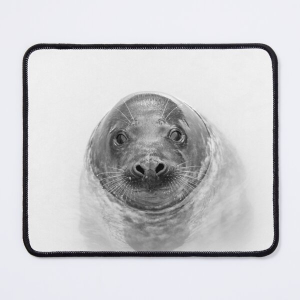 Item preview, Young grey seal designed and sold by Margriet Photography .