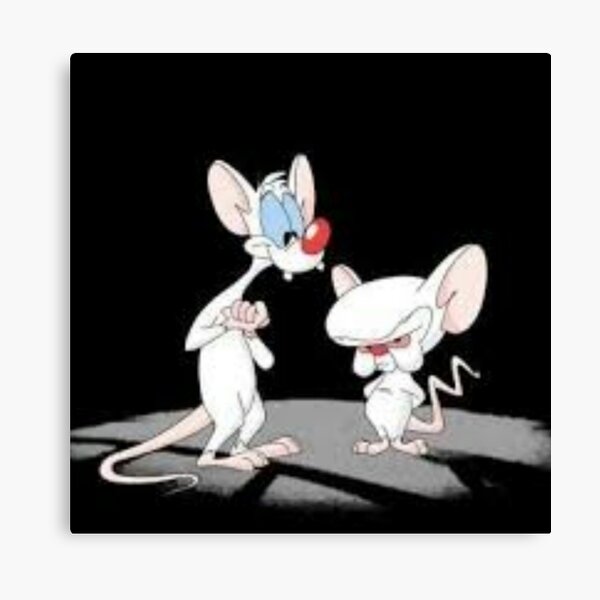 Pinky And The Brain Canvas Prints for Sale