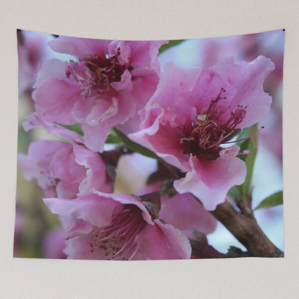 Item preview, Peach Tree Blossom Close Up designed and sold by taiche.