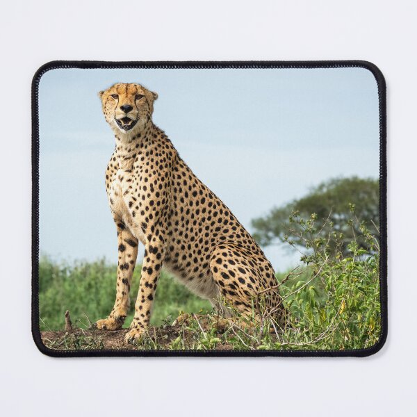 Item preview, Cheetah designed and sold by sebph.