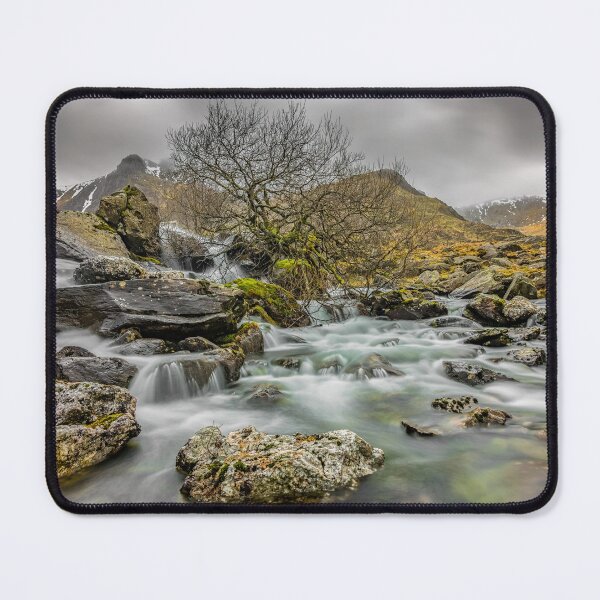 Item preview, Lone Tree On The River designed and sold by AJEvans.