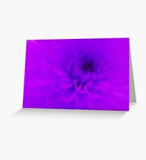 Soft Focus Greeting Card