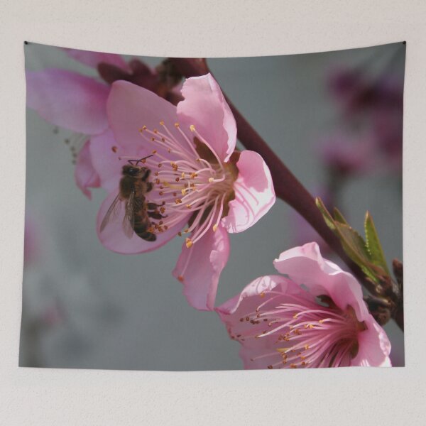Item preview, Honey Bee On Open Peach Tree Blossom designed and sold by taiche.