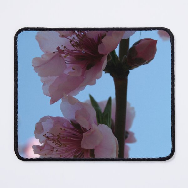 Item preview, Transluscent Pastel Pink Peach Tree Blossom designed and sold by taiche.