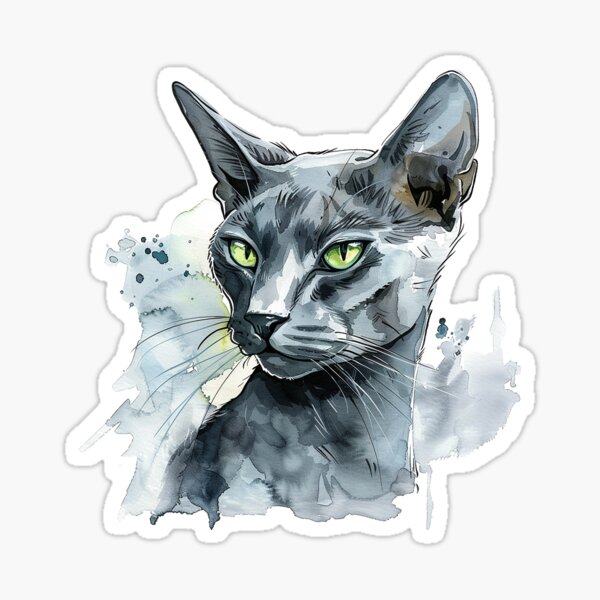 Korat kat - Queen of the house Sticker