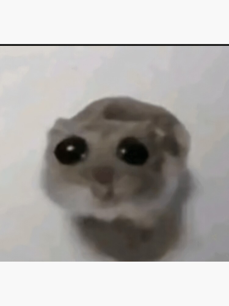 Sad Hamster | This is me if you even care | TikTok Meme&quot; Postcard 