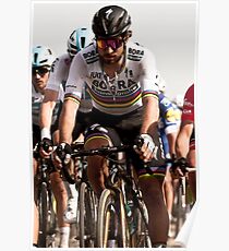Peter Sagan Poster