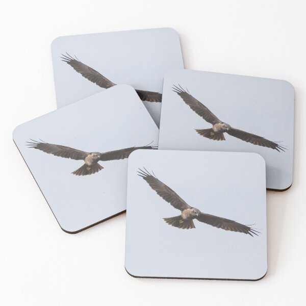 Item preview, Marsh Harrier designed and sold by LaurenTucker.