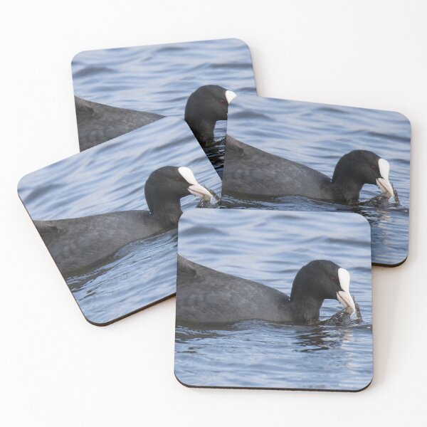 Item preview, Coot designed and sold by LaurenTucker.