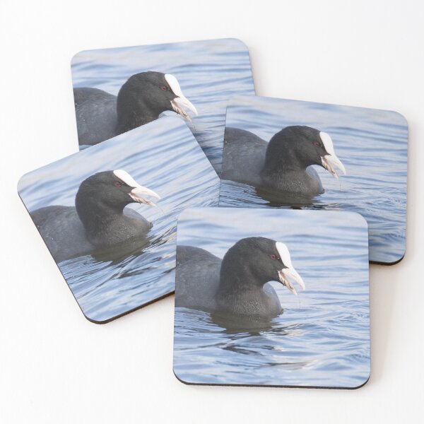 Item preview, Coot designed and sold by LaurenTucker.