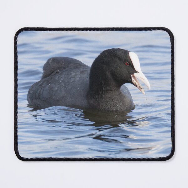 Item preview, Coot designed and sold by LaurenTucker.