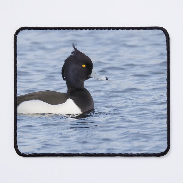 Item preview, Tufted Duck designed and sold by LaurenTucker.