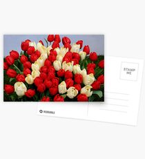 Tulip Bouquet 75 Years Postcards