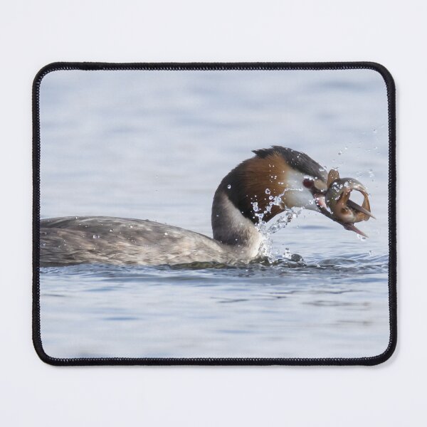 Item preview, Great Crested Grebe designed and sold by LaurenTucker.
