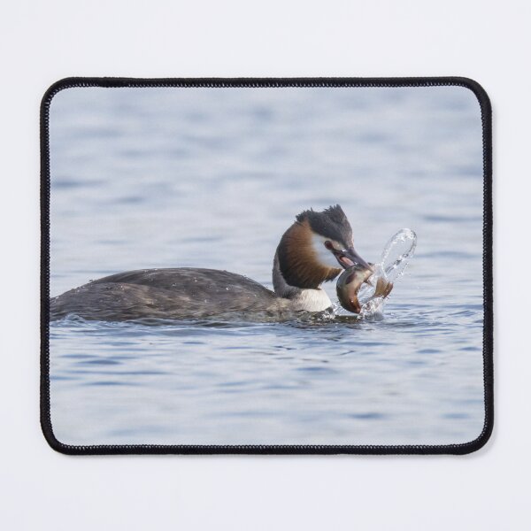 Item preview, Great Crested Grebe designed and sold by LaurenTucker.