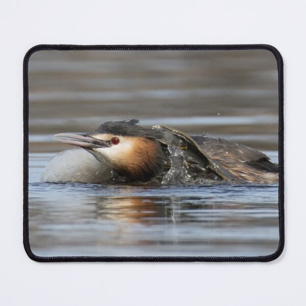 Item preview, Great Crested Grebe designed and sold by LaurenTucker.