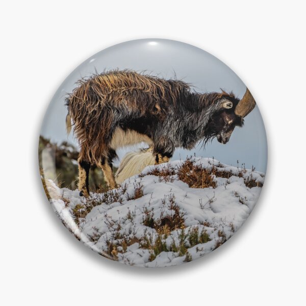 Item preview, Welsh Mountain Goats designed and sold by AJEvans.