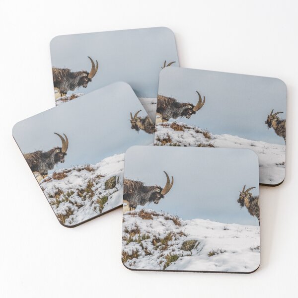 Item preview, Welsh Mountain Goats designed and sold by AJEvans.