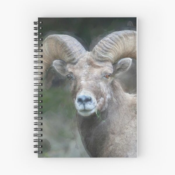 Item preview, Rocky Mountain Bighorn Sheep X106 designed and sold by RichFrancoCars.