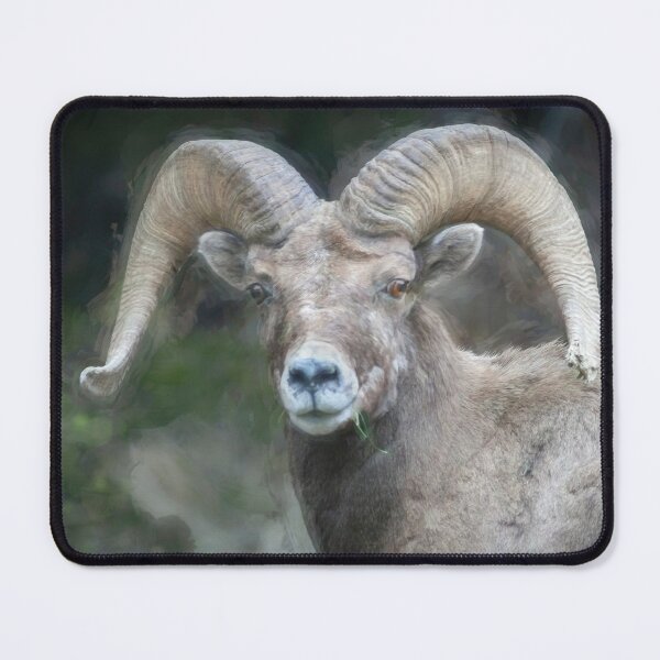 Item preview, Rocky Mountain Bighorn Sheep X106 designed and sold by RichFrancoCars.
