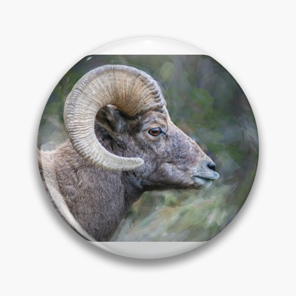 Item preview, Copy of Copy of Rocky Mountain Bighorn Sheep X108 designed and sold by RichFrancoCars.