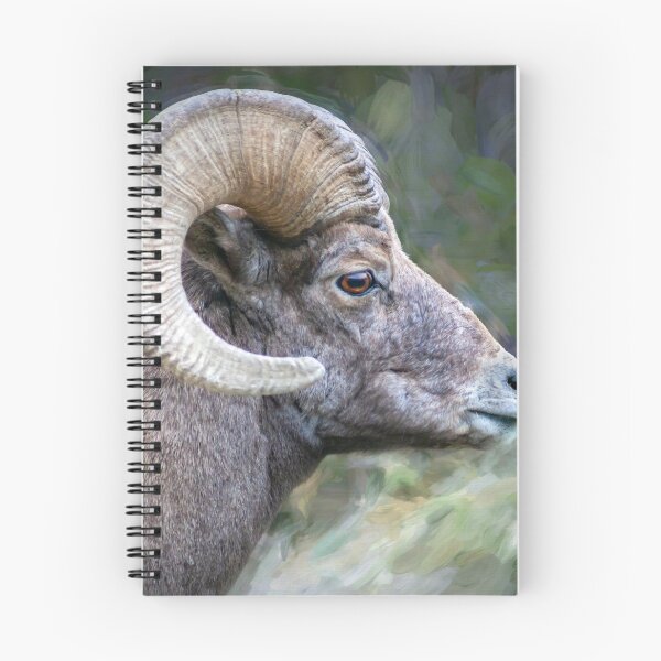 Item preview, Copy of Copy of Rocky Mountain Bighorn Sheep X108 designed and sold by RichFrancoCars.