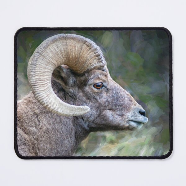 Item preview, Copy of Copy of Rocky Mountain Bighorn Sheep X108 designed and sold by RichFrancoCars.