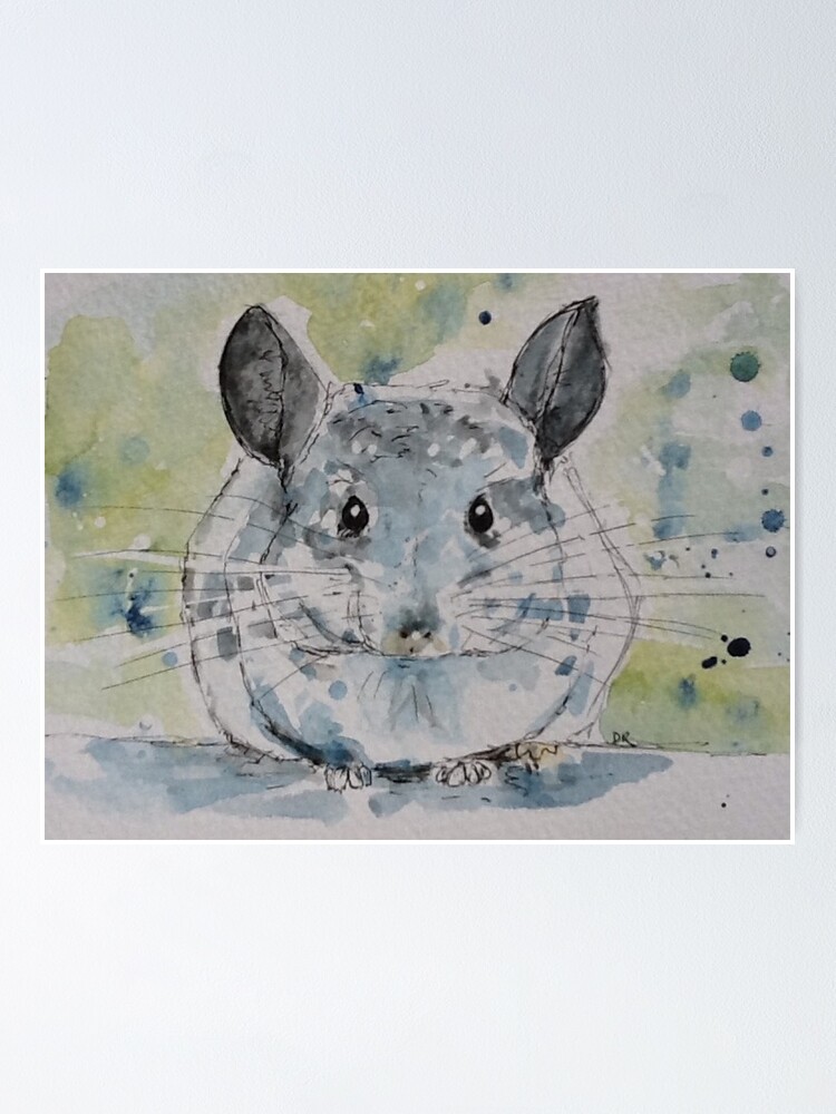 chinchilla painting