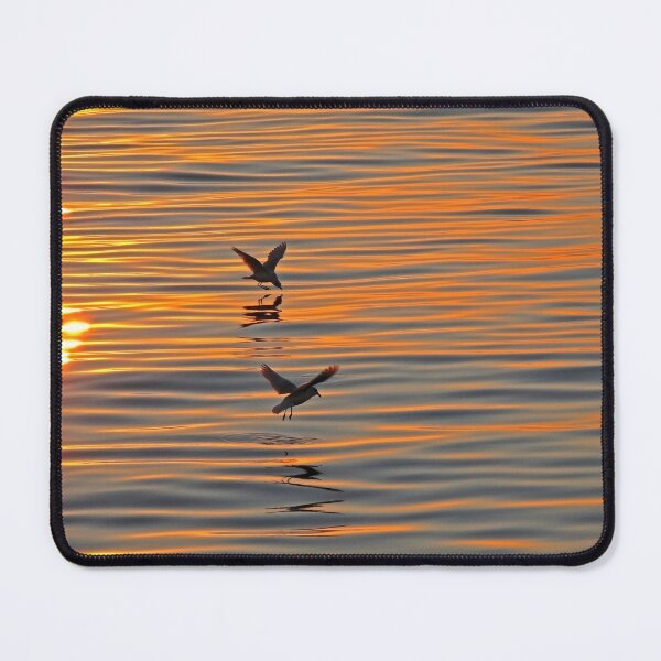 Item preview, reflected flights designed and sold by Tereza Pilar  Art.