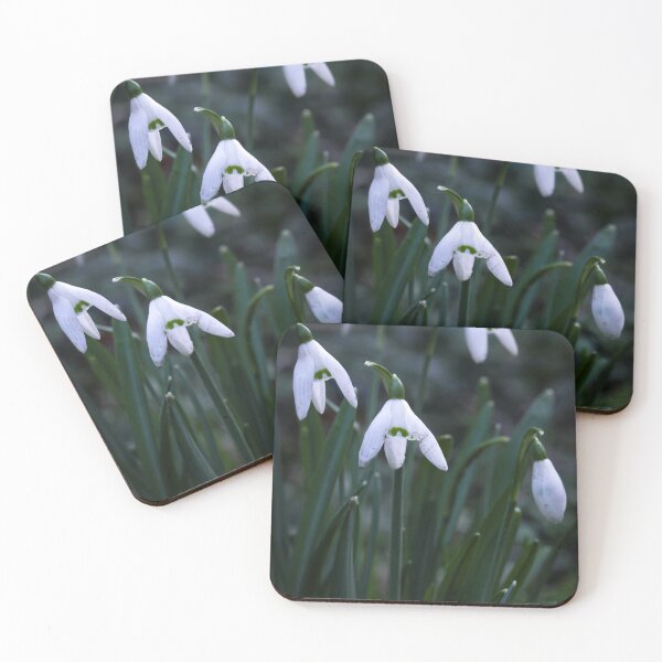 Item preview, Snowdrops(2024) designed and sold by jasminewang.