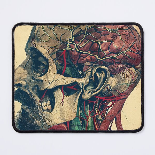 Item preview, Vintage Anatomy Art designed and sold by nomiraclehere.