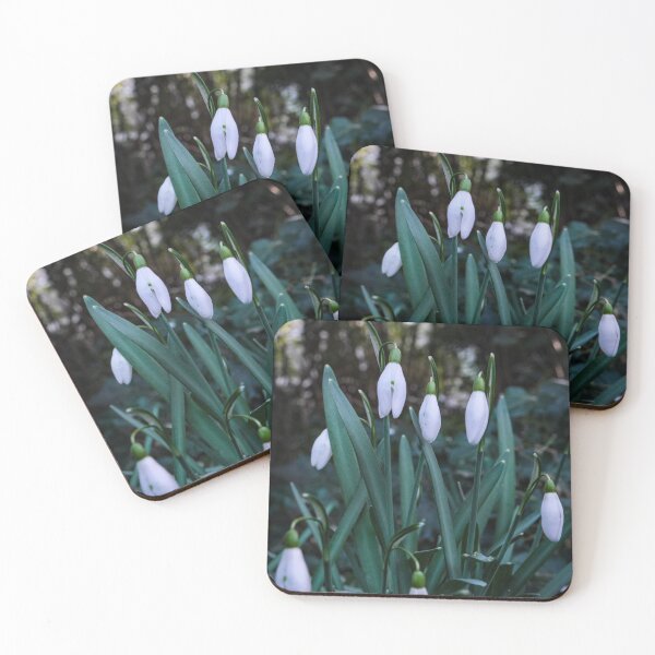 Item preview, Snowdrops(2024) designed and sold by jasminewang.