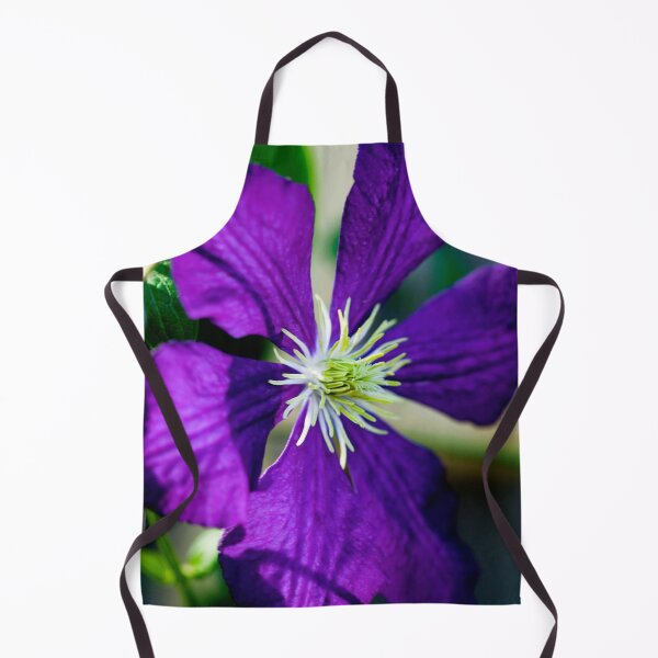 Item preview, Clematis Bloom Not Shy X100 designed and sold by RichFrancoCars.