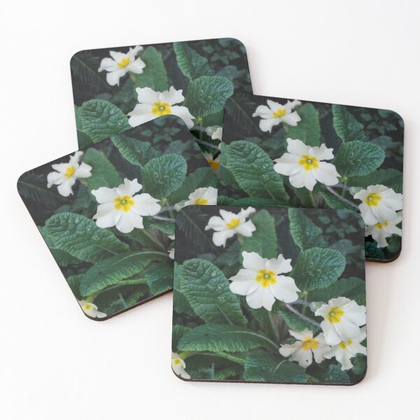 Item preview,  Wild Primrose ( Primula Vulgaris)2024 designed and sold by jasminewang.