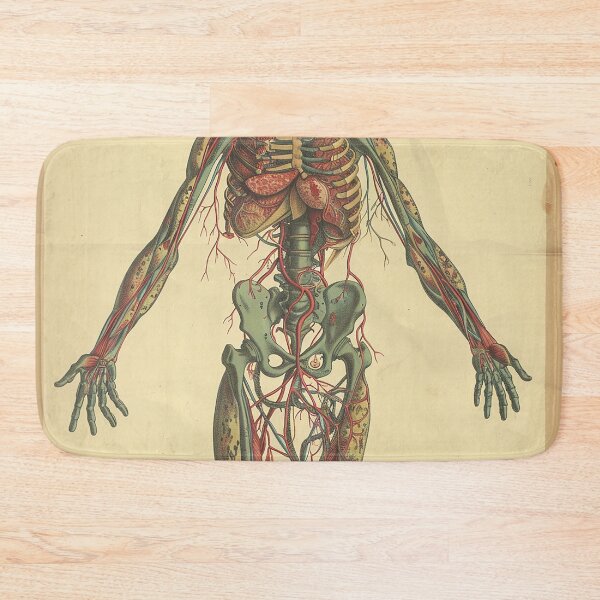 Item preview, Vintage Anatomy Art designed and sold by nomiraclehere.